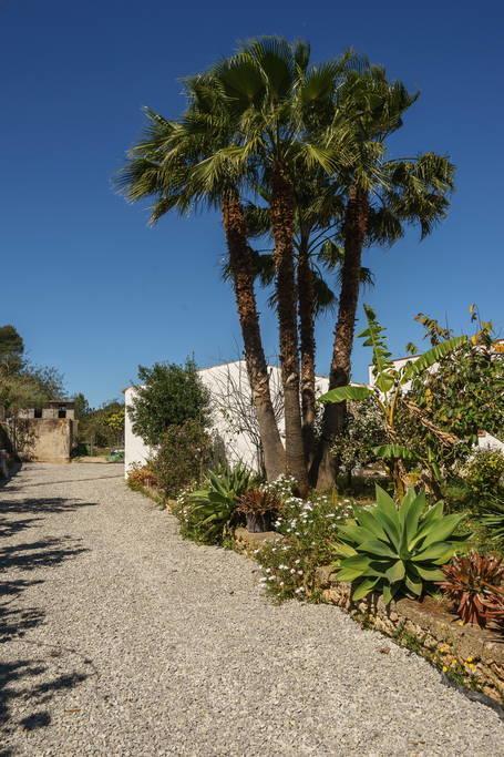 Nuestra Señora de Jesus Can Beia Rural House Ibiza 빌라 외부 사진